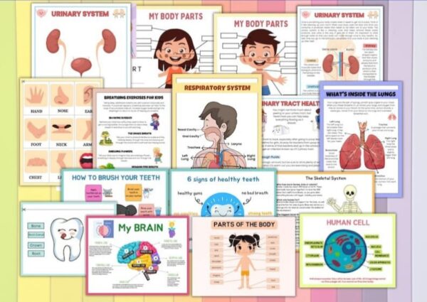+3900 Preschool Activity Sheets:educational school games for kids printable - Image 5